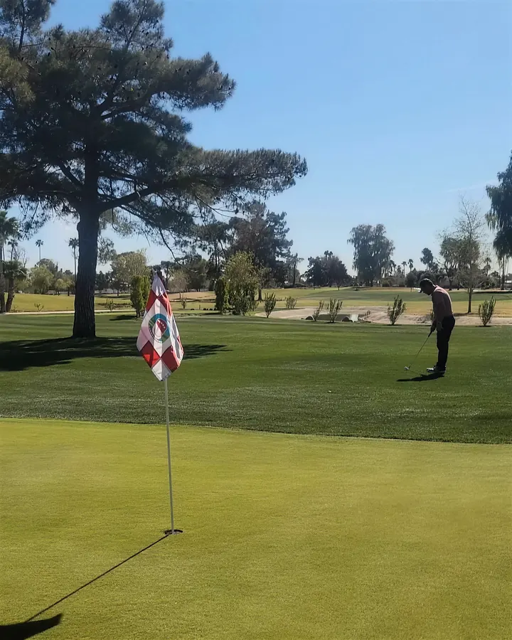 The chipping green at Dobson Ranch: a Dobson Ranch pin flag up close and a golfer chipping beyond, under a tall pine